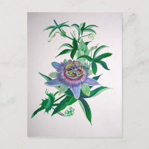 Cartão Postal Flor de Paixão