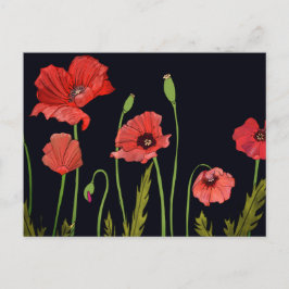 Cartão Postal Flor de papoila-branca