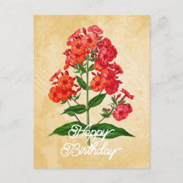 Cartão Postal Flor de Phlox Híbrida Vintage Elegante Feliz Anive