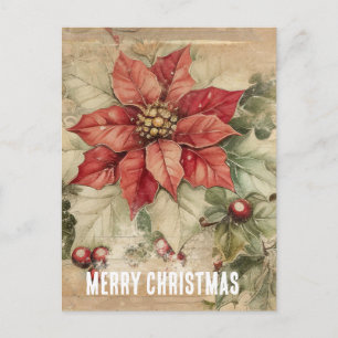 Cartão Postal Flor de Poinsettia de Natal Antigo