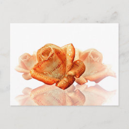 Cartão Postal Flor de Rosa de Coral com Música em Folha