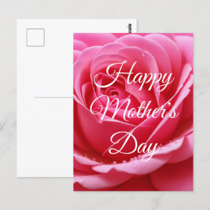 Cartão Postal Flor de Rosa de Feliz dia de as mães personalizado