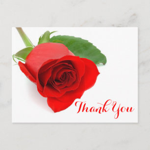 Cartão Postal Flor de rosa vermelha Obrigado Floral