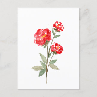 Cartão Postal Flor de Rosa vermelha pequena