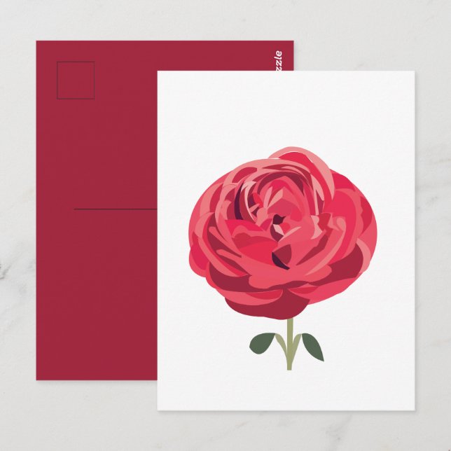 Cartão Postal Flor de Rosa Vermelha Rosa Vermelha Floral (Frente/Verso)