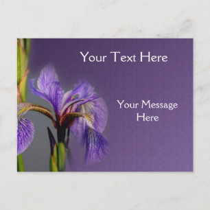 Cartão Postal Flor de Sinalizador Azul Iris