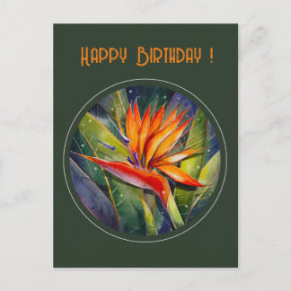 Cartão Postal Flor de Strelizia Pintada pelo EVE