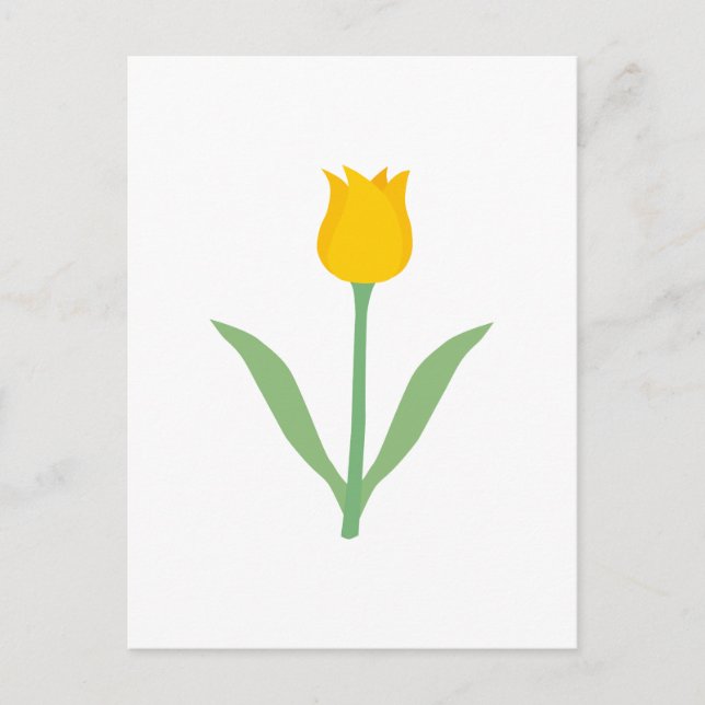 Cartão Postal Flor de Tulipa Amarela. (Frente)
