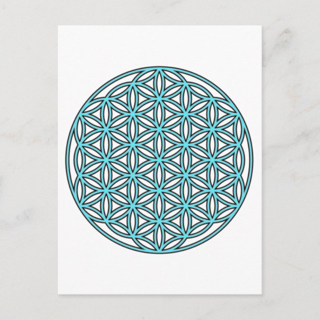 Cartão Postal Flor de Turquesa do Solteiro de Vida (Frente)