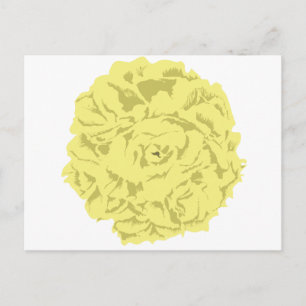 Cartão Postal flor do cravo amarelo