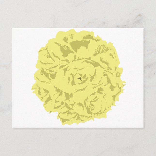 Cartão Postal flor do cravo amarelo (Frente)