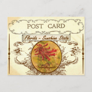 Cartão Postal Flor do Estado da Flórida Vintage