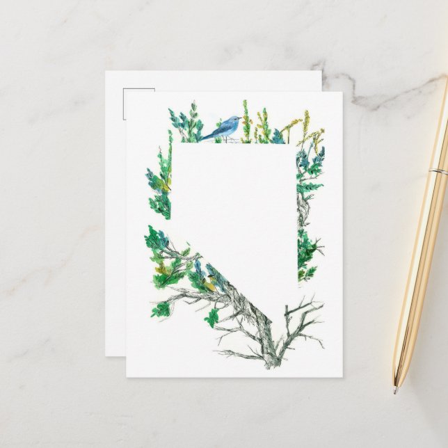 Cartão Postal Flor do Estado de Nevada Sagebrush Mountain Bluebi (Frente/Verso In Situ)