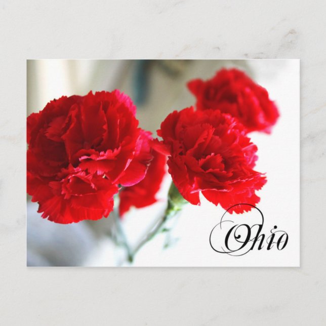 Cartão Postal Flor do Estado de Ohio: Cravo Vermelho (Frente)