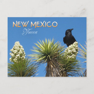 Cartão Postal Flor do Novo México: Flor de Yucca