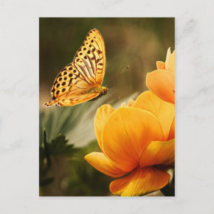 Cartão Postal flor e borboleta paz e alegria