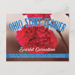 Cartão Postal Flor Estatal de Ohio, o Cravo do Escarlet