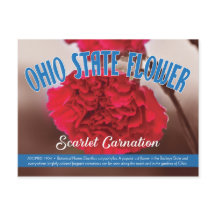 Flor Estatal de Ohio, o Cravo do Escarlet