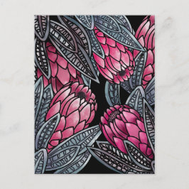 Cartão Postal Flor exótica Protea Rosa