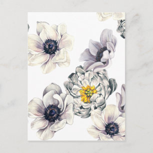 Cartão Postal Flor Floral Peony Anemone Fresca Primavera Artísti