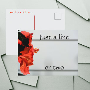 Cartão Postal Flor Fotográfico Botânico de Hibisco Vermelho