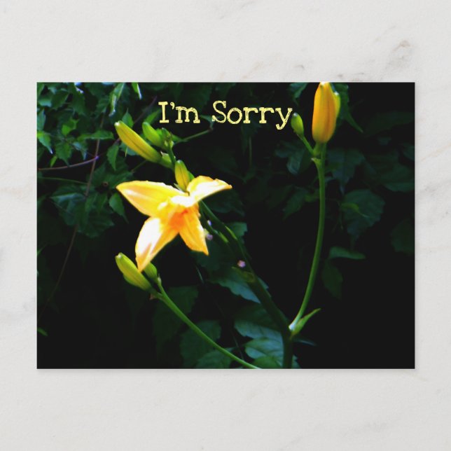Cartão Postal Flor Lily Amarela (Frente)