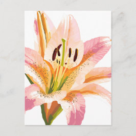 Cartão Postal Flor Lily Rosa | Impressão Floral de Aquarela