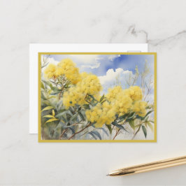 Cartão Postal Flor Nacional Austrália Ouro Wattle |