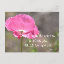 Cartão Postal Flor Poppy Islandês rosa