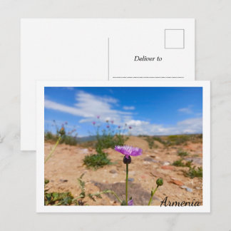Cartão Postal Flor púrpura da Armênia