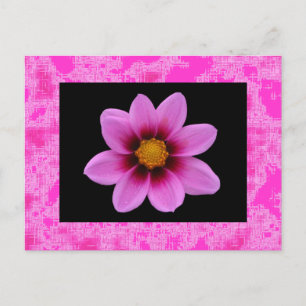 Cartão Postal Flor rosa