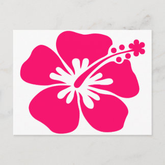 Cartão Postal flor rosa aloha