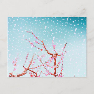Cartão Postal Flor rosa e pétalas voadoras (ou neve?)