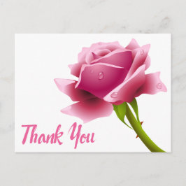 Cartão Postal Flor Rosa Rosa Rosa Rosa Rosa Rosa Rosa Rosa
