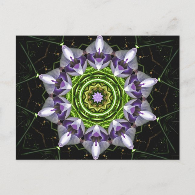 Cartão Postal Flor Roxa (Frente)