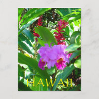 Flor Roxo-Tropical Havaiana