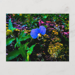 Cartão Postal Flor Silvestre Azul de Perto com Folhas Verdes
