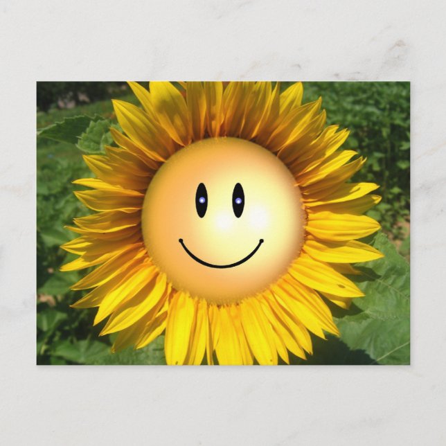 Cartão Postal Flor Sorriso de Sol (Frente)