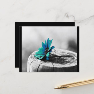 Cartão Postal Flor Teal