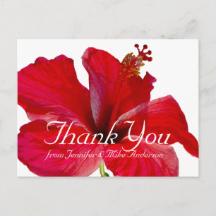 Cartão Postal Flor Tropical Red Hibiscus Obrigado