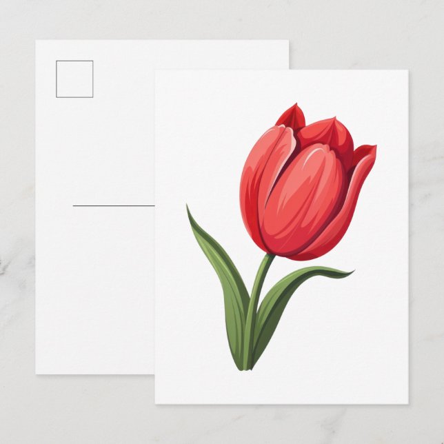 Cartão Postal Flor Tulipa (Frente/Verso)