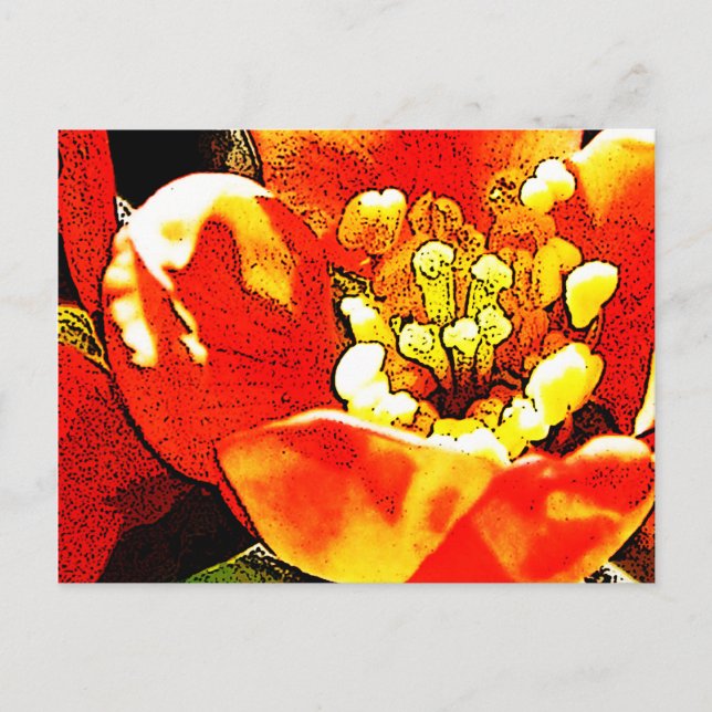 Cartão Postal Flor vermelha (Frente)