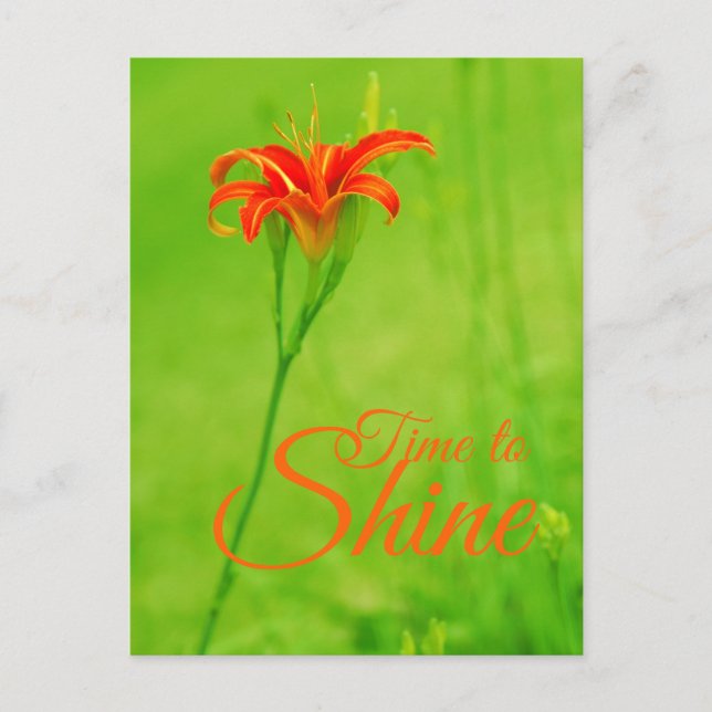 Cartão Postal Flor Vermelho "É hora de brilhar" (Frente)