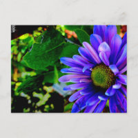 Flor Violeta Brilhante