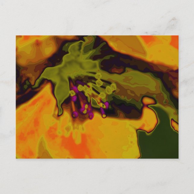 Cartão Postal floração de maçã (Frente)