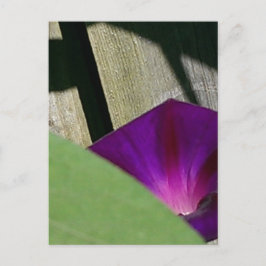 Cartão Postal Floral