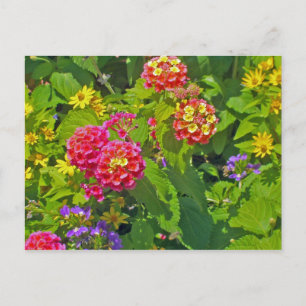 Cartão postal floral
