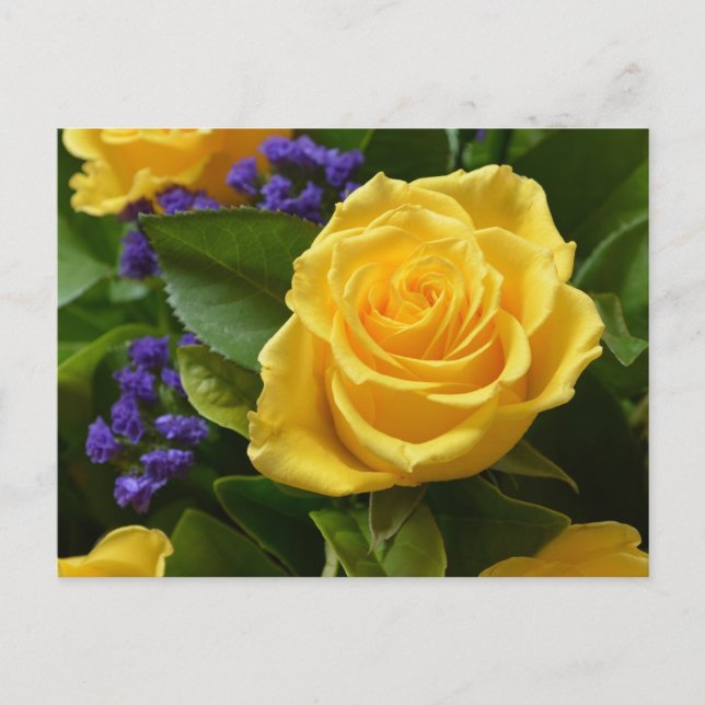 Cartão Postal Floral Amarelo Rose & Purple Flowers Hello Love (Frente)