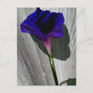 Cartão postal floral bonito