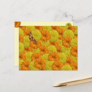Cartão Postal Floral Borboleta Monarca e Maravilha